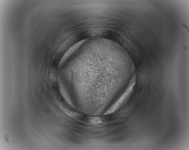 X0000103160091200809051709