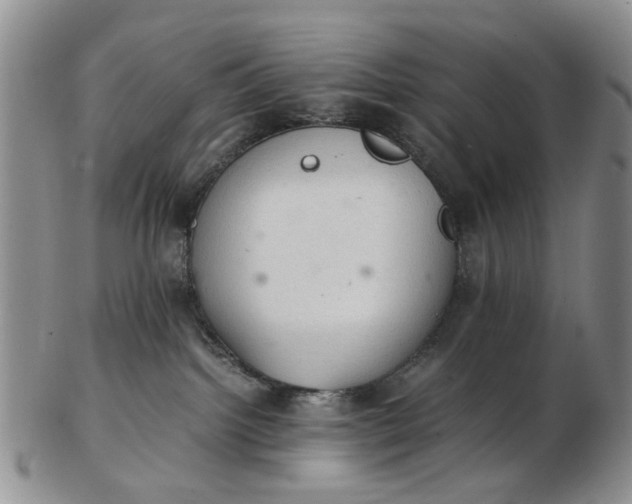 X0000103160092200809051709