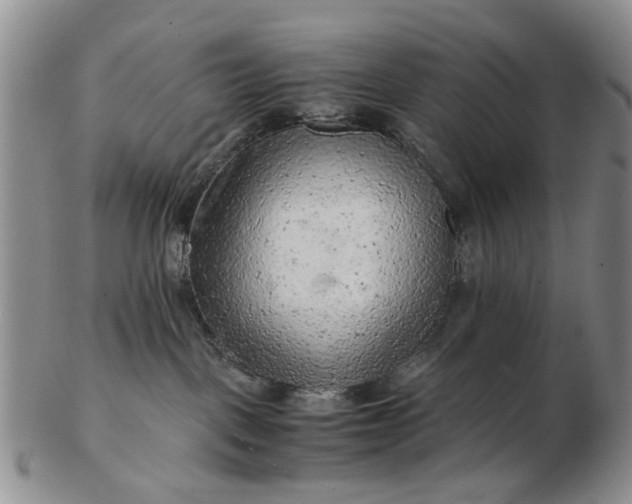 X0000103160093200809051709