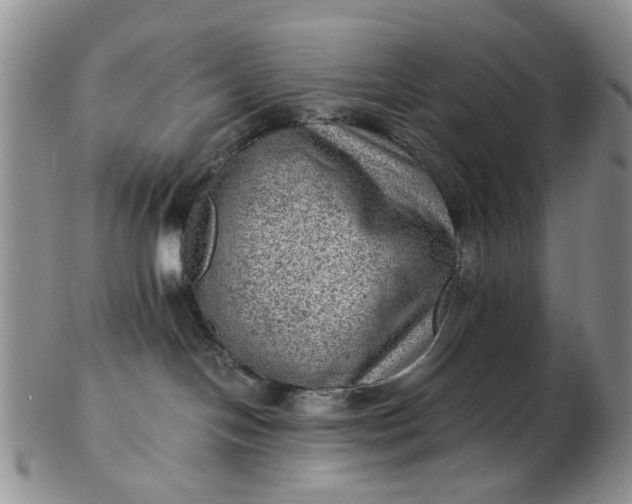 X0000103160094200809051709