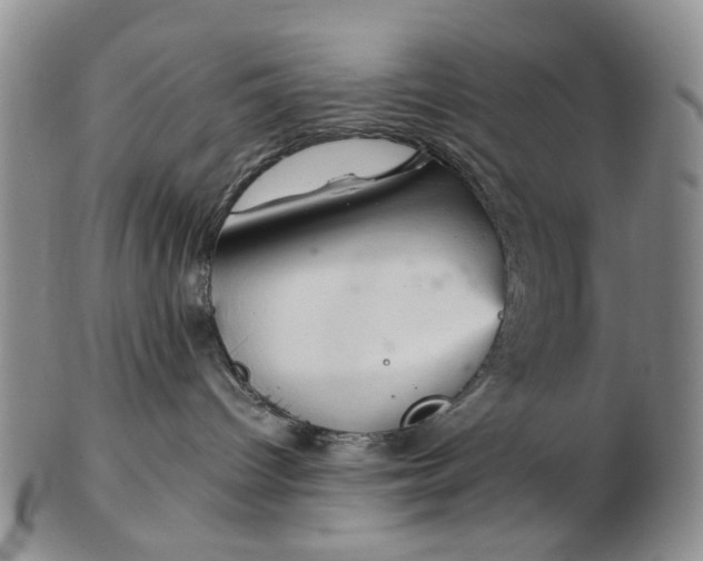 X0000103160096200809051709