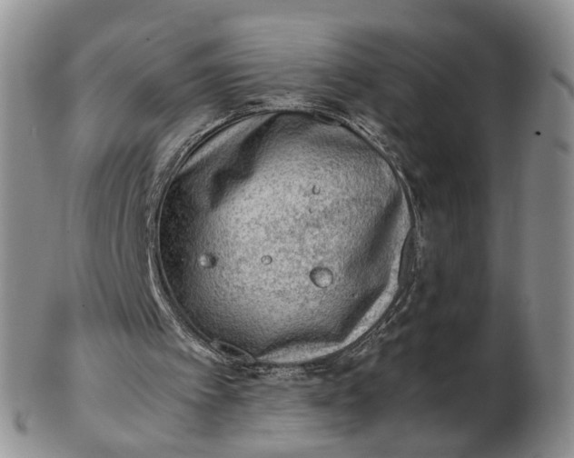 X0000103160097200809051708