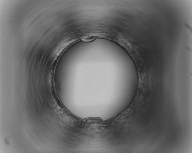 X0000103160098200809051708