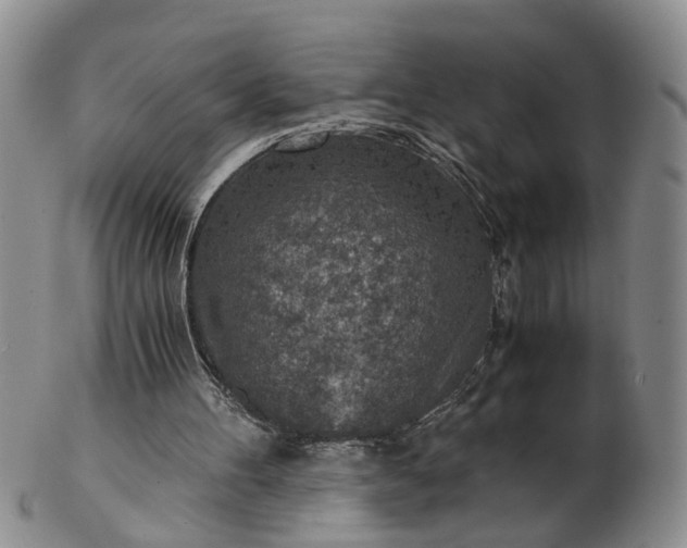 X0000103160100200809051708