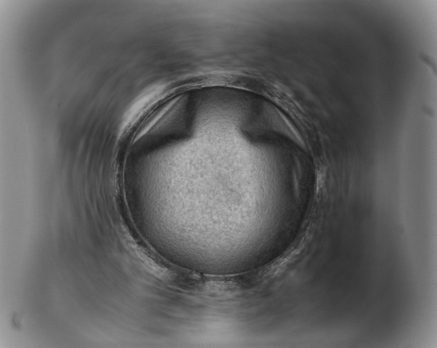 X0000103160101200809051708