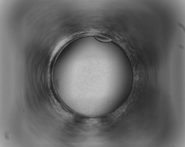 X0000103160102200809051708