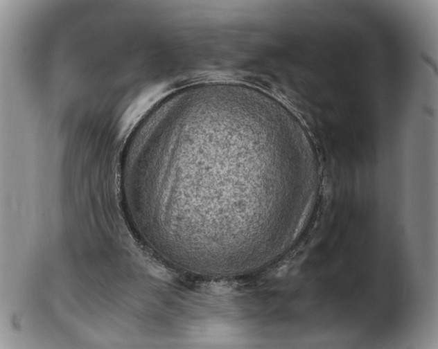 X0000103160103200809051708