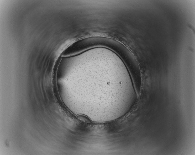 X0000103160104200809051708