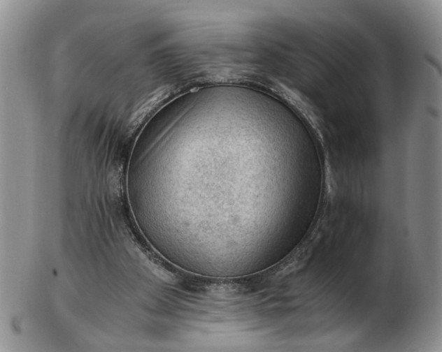 X0000103160105200809051708