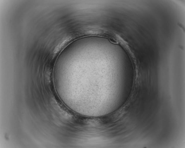 X0000103160106200809051708