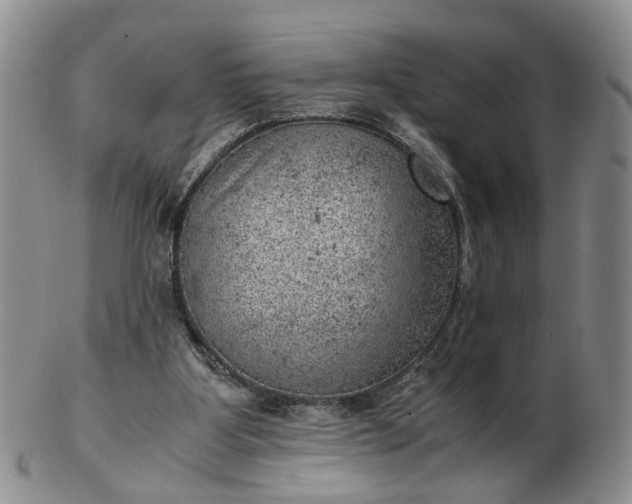 X0000103160107200809051708