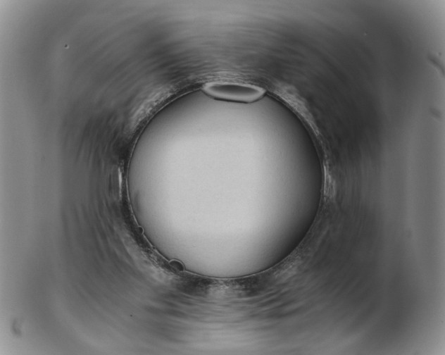 X0000103160109200809051708