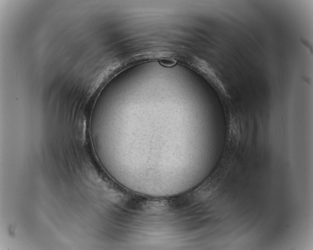 X0000103160110200809051708