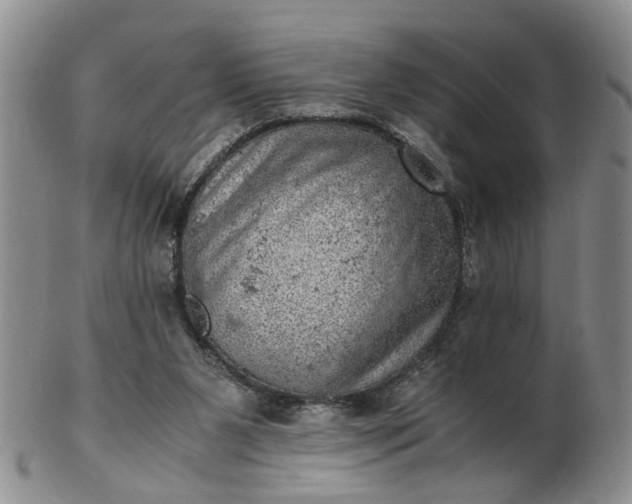 X0000103160111200809051708