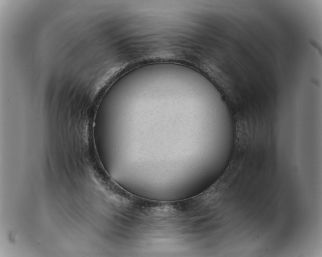 X0000103160112200809051708