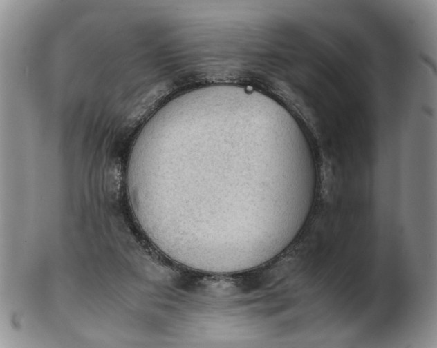 X0000103160113200809051708