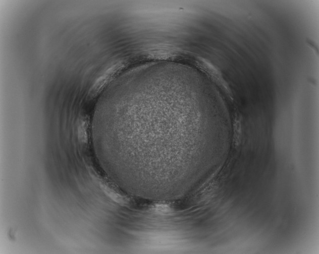 X0000103160114200809051708