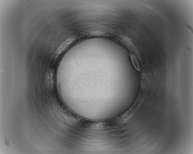 X0000103160116200809051708