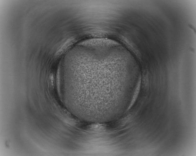 X0000103160117200809051708