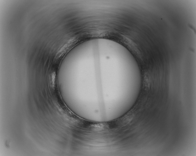 X0000103160118200809051708