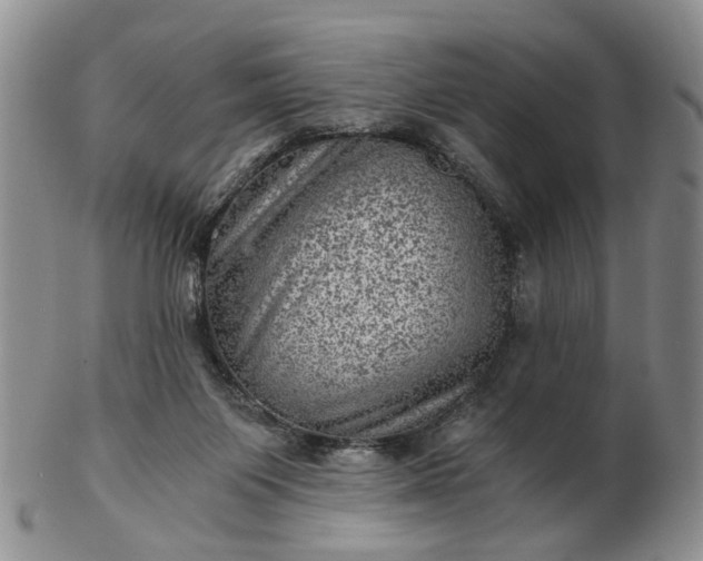 X0000103160119200809051708