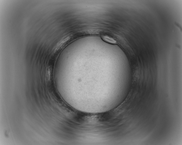 X0000103160120200809051708