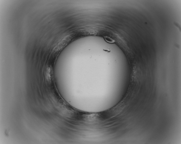 X0000103160122200809051708