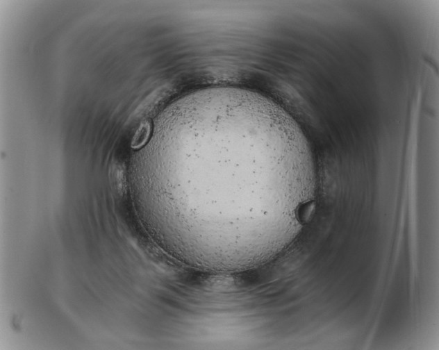 X0000103160123200809051708