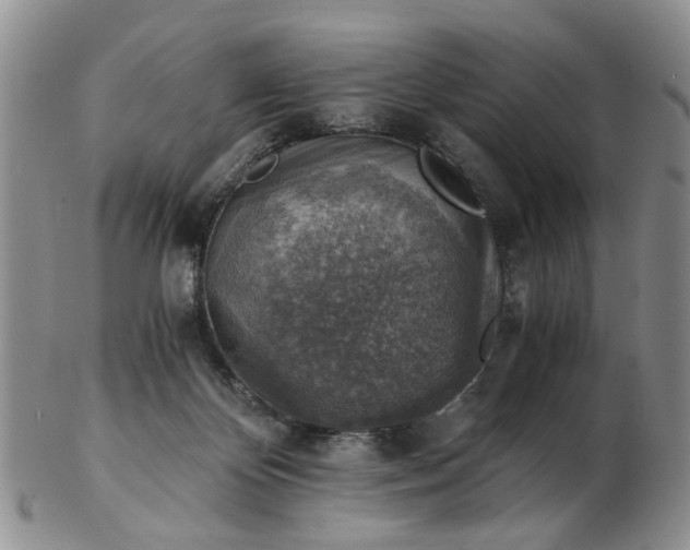 X0000103160124200809051708