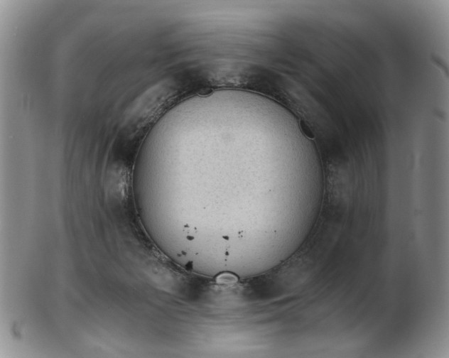 X0000103160125200809051708