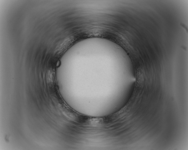 X0000103160126200809051708