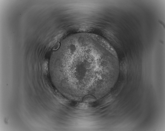 X0000103160127200809051708