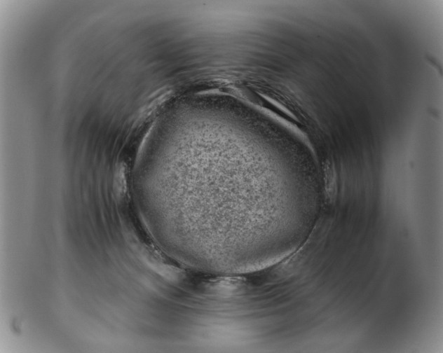 X0000103160128200809051708