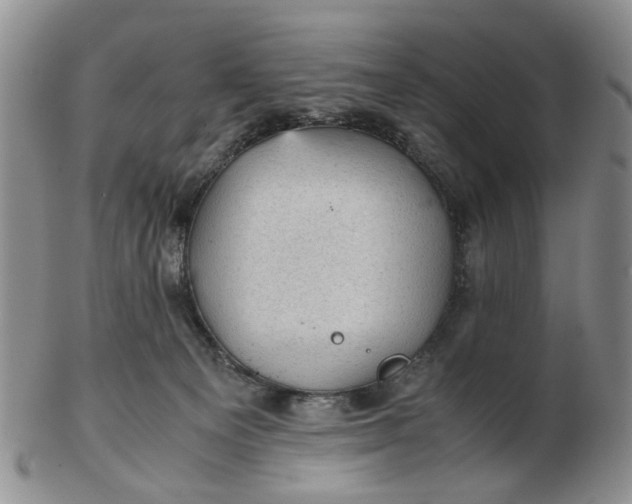 X0000103160129200809051708