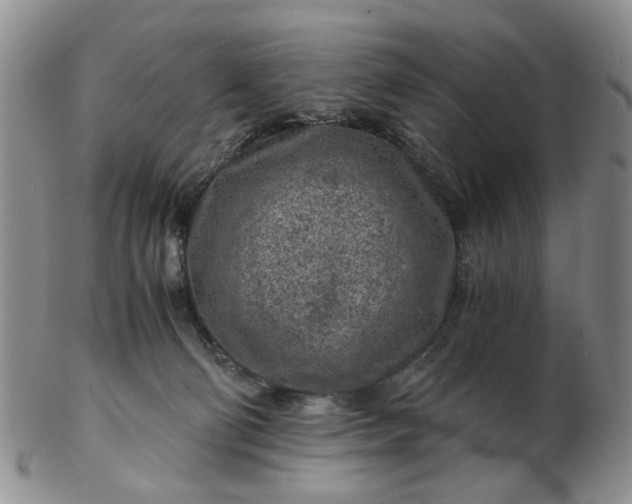 X0000103160130200809051708