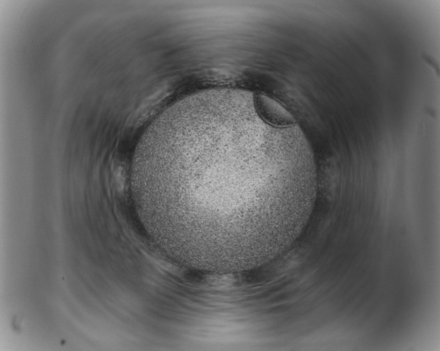 X0000103160131200809051708