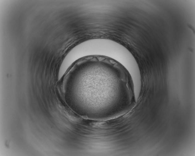 X0000103160132200809051708