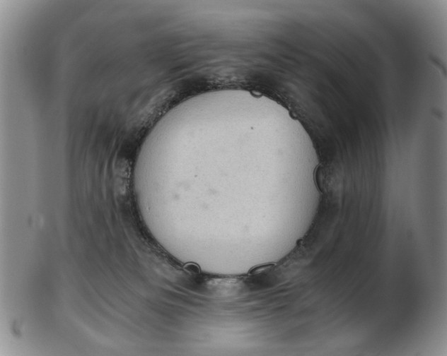 X0000103160133200809051708