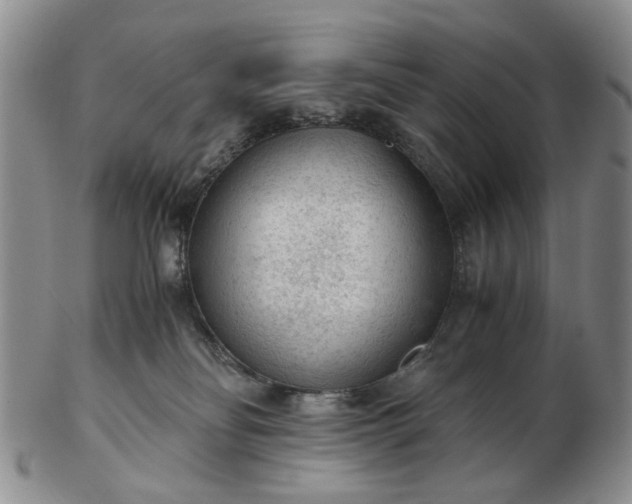 X0000103160134200809051708