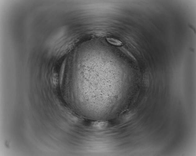 X0000103160135200809051708