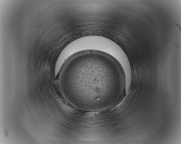 X0000103160136200809051708