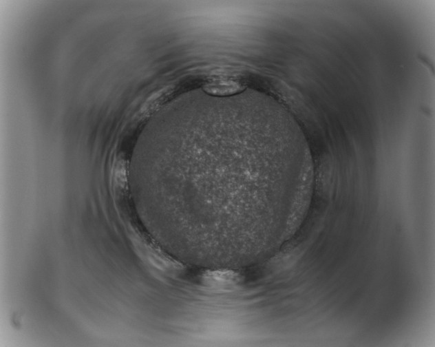 X0000103160137200809051708