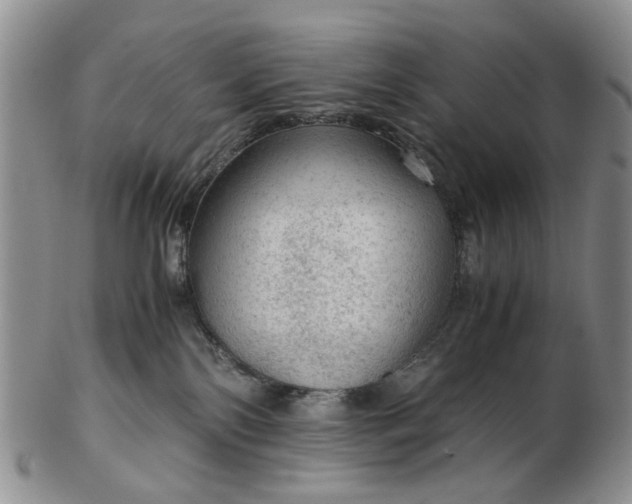 X0000103160138200809051708