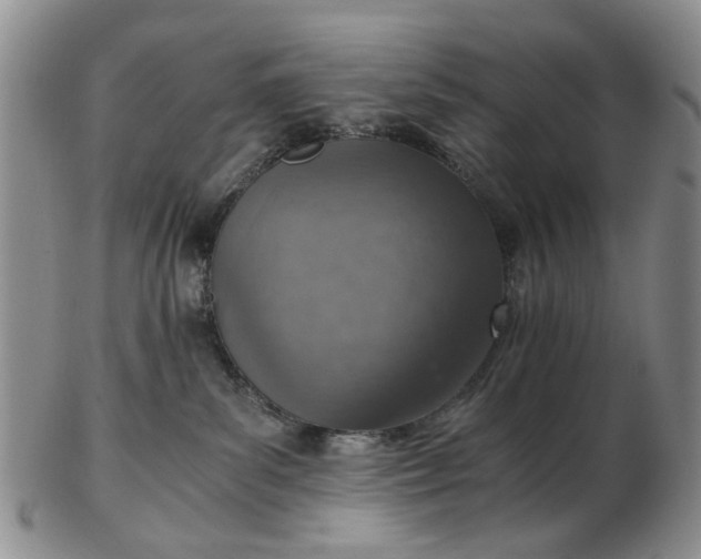 X0000103160139200809051708