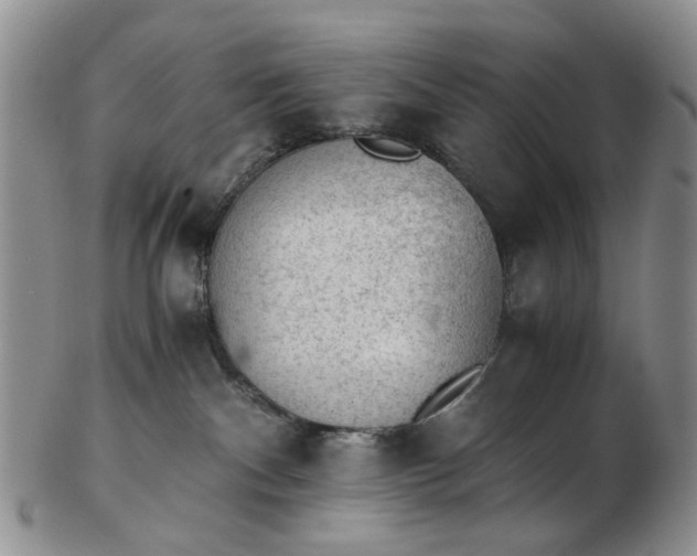 X0000103160140200809051708