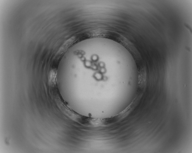 X0000103160142200809051708