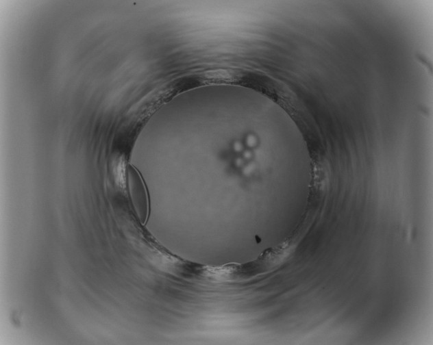 X0000103160143200809051708