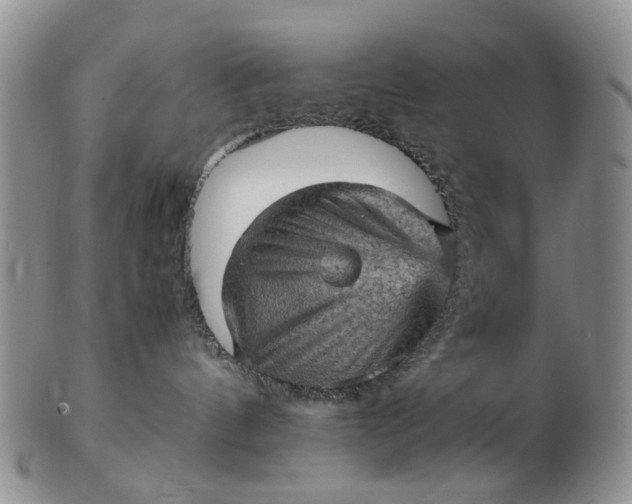 X0000103160144200809051708