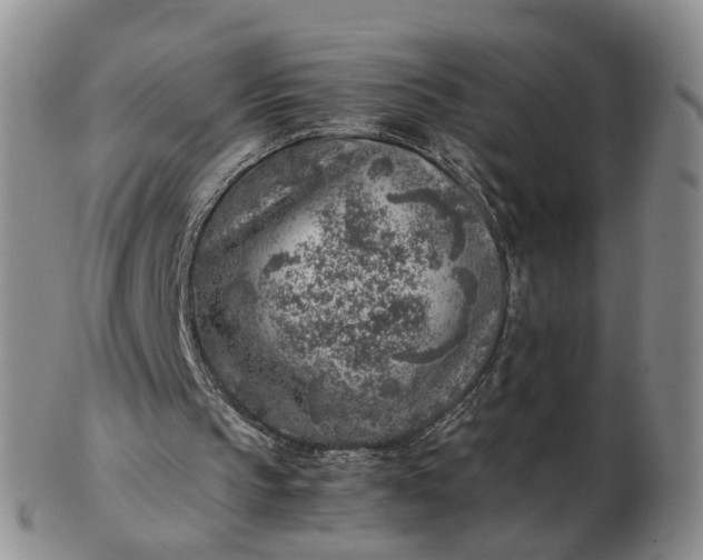 X0000103160145200809051707