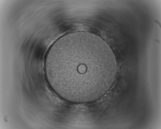 X0000103160146200809051707